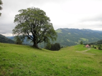 2012-09-02 Hochgrat-Berglauf 140 Gr